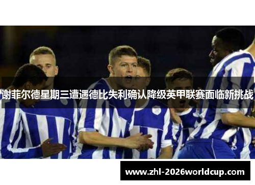 谢菲尔德星期三遭遇德比失利确认降级英甲联赛面临新挑战